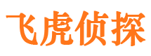 宁远侦探公司